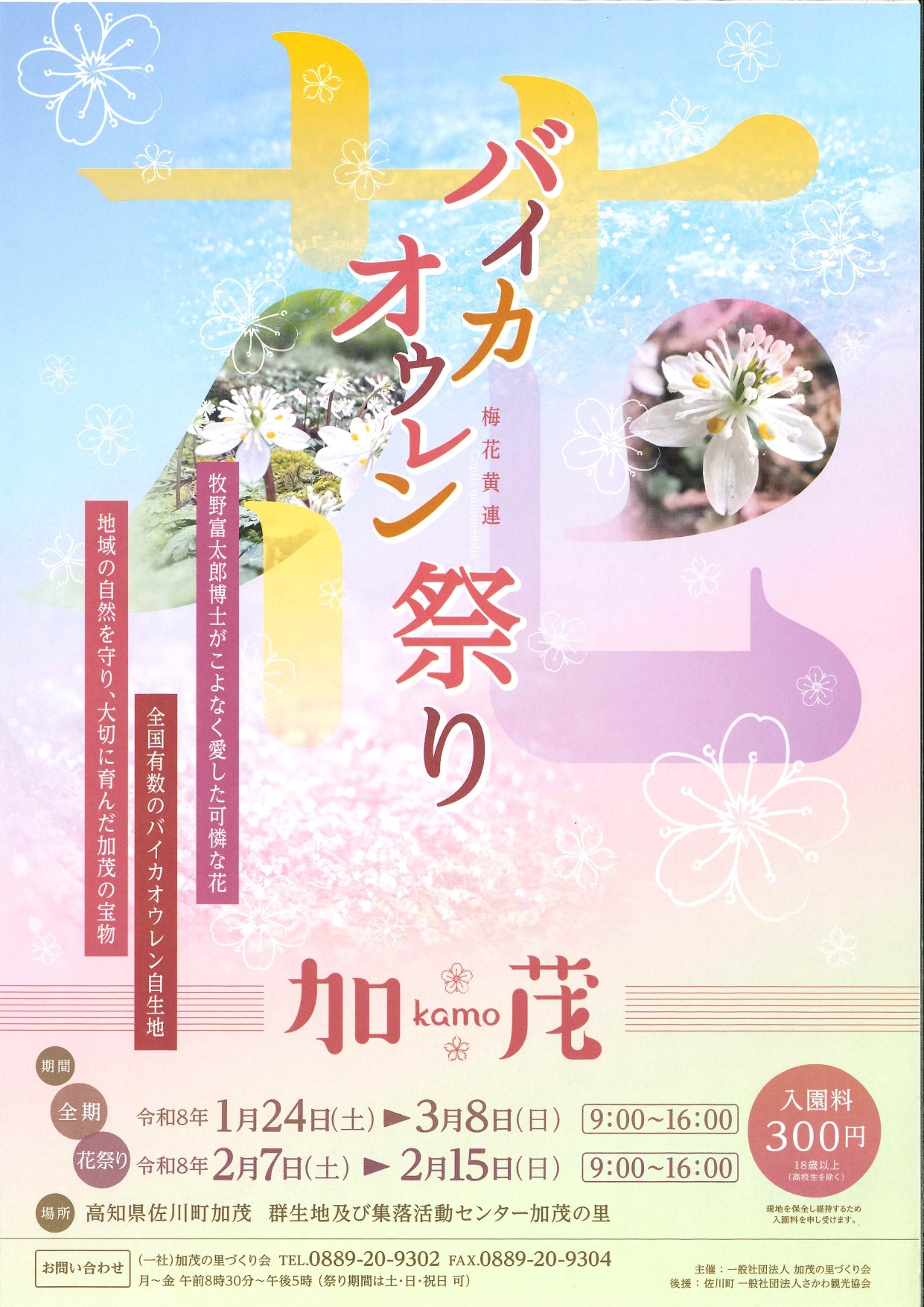 加茂のバイカオウレン祭り