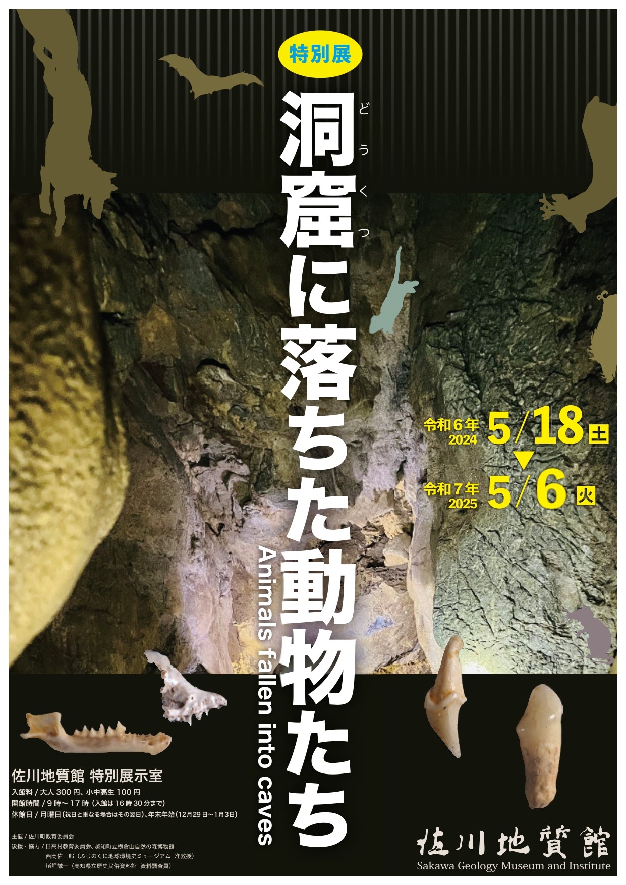 特別展　洞窟に落ちた動物たち